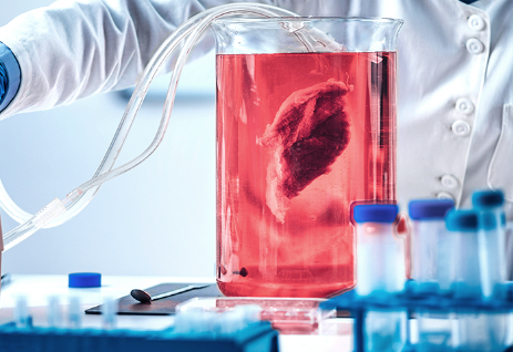 韩国培养肉初创公司TissenBioFarm完成约160万美元融资