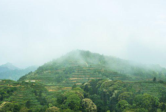 农产品数字化百强县出炉，排名第一的原来是它