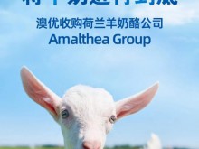 夯实羊奶全方位“领头羊”地位！澳优收购荷兰羊奶酪公司Amalthea Group