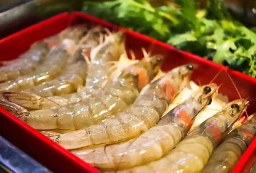 加拿大库克水产(Cooke Aquaculture)收购比利时虾类加工企业Morubel