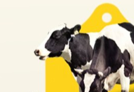 《2022牛奶赛道舆情洞察》发布，从卷营养、卷奶源到卷营销？