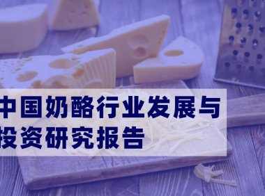 中国奶酪行业发展与投资研究报告