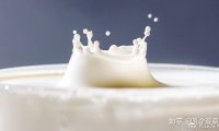 全球乳业的竞争必然有中国乳业的一席之地