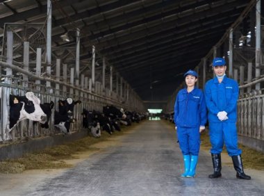 新乳业受资本热捧，角逐低温市场布局全国