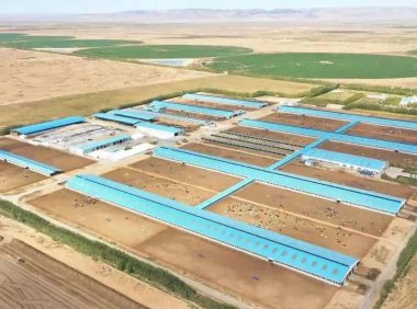 绿色融资第一单！蒙牛树立中国乳业ESG投融资发展标杆