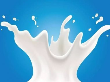 中国乳业新格局显现,伊利一枝独秀引领市场