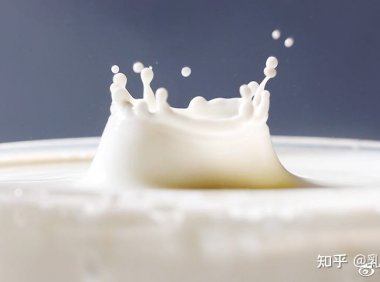 全球乳业的竞争必然有中国乳业的一席之地