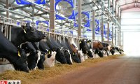 牛奶市场供需及价格走势预测分析：预计三季度乳制品价格维持高位..