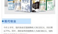 现代牧业上半年净利同比增49%，降本增效成绩显著