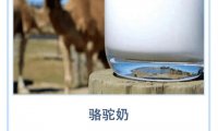 驼乳含量的竞争“卷”起来了,某一品牌宣称驼奶含量大于99.99%