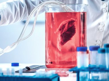 韩国培养肉初创公司TissenBioFarm完成约160万美元融资