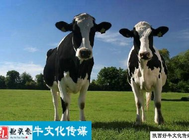 中国奶业经济月报2022年09月