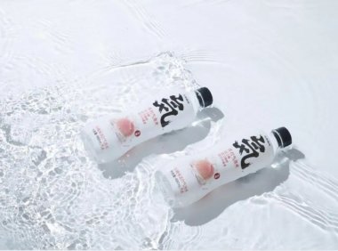 元气森林大动作:向太阳食品投资5433万元