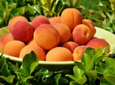 包装蔬果及预制菜品牌商「优野农业」获数千万A轮融资