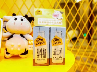 扎堆上市的小众乳企，全都是「泡沫」？