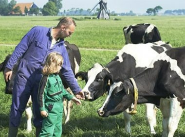 菲仕兰在第四届中国肠道产业大会上斩获两项大奖