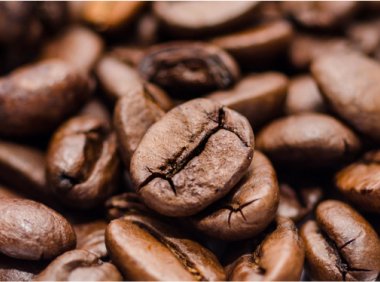 食品和农业公司Olam Food Ingredients以1.5亿加元收购加拿大咖啡烘焙公司Club Coffee