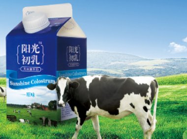 阳光乳业2022年上半年营收2.71亿元，同比下降6.61%