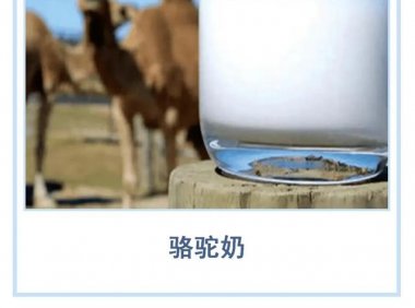 驼乳含量的竞争“卷”起来了,某一品牌宣称驼奶含量大于99.99%