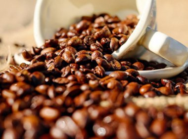 咖啡生产商GCC启动1亿美元C轮融资，以期改变哥伦比亚咖啡行业