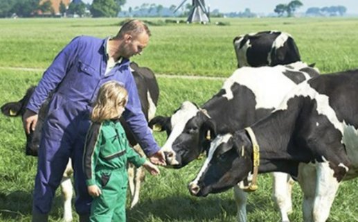 菲仕兰在第四届中国肠道产业大会上斩获两项大奖