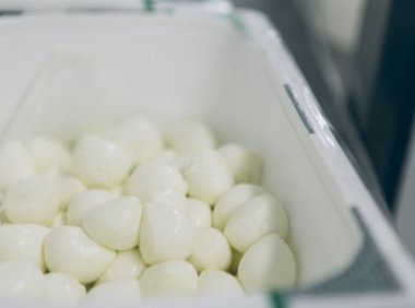 加拿大乳制品制造公司「Saputo」拟投资4500万加元,用于威斯康星州的奶酪工厂改造项目