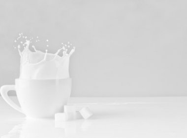 牛奶、羊奶、骆驼奶、马奶有什么区别，一次说清楚