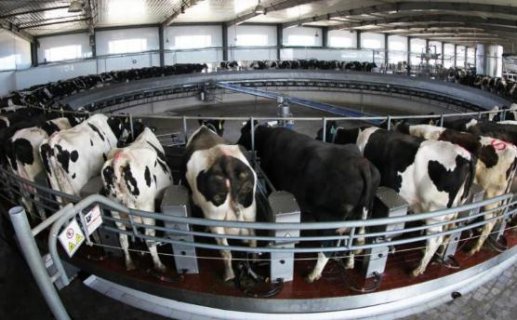 综合成本4.32元\/公斤！河南省奶业协会发布第四季度生鲜乳收购指..