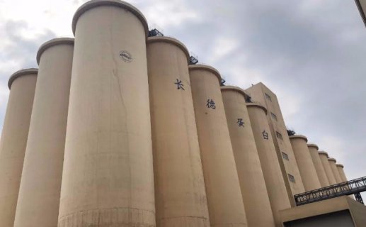 福清长德蛋白科技植物蛋白生产线正式投产