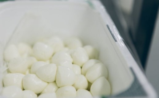 加拿大乳制品制造公司「Saputo」拟投资4500万加元，用于威斯康星州的奶酪工厂改造项目