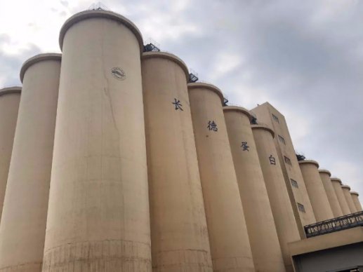 福清长德蛋白科技植物蛋白生产线正式投产