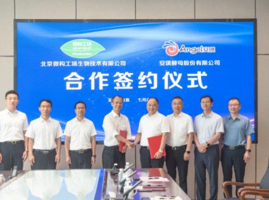 安琪酵母与微构工场合作，建设三万吨PHA产线