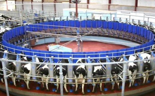 乳制品市场供需形势和未来走势！