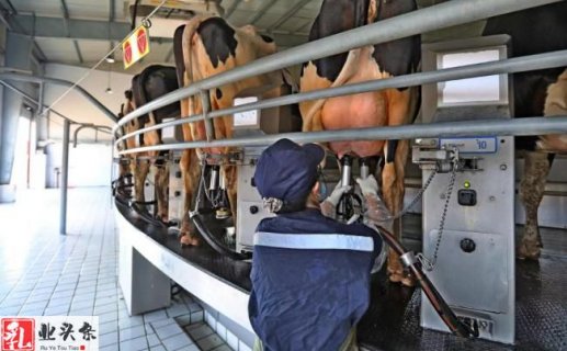消费不足致原奶阶段性过剩,河北省生鲜乳价格协调会首次附条件公..