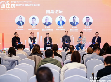 圆桌对话 | 2025奶酪黄油产业创新与发展论坛圆桌对话实录