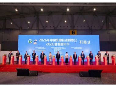 蒙牛出席中乳协第三十二次年会,以“乳+”营养策略探索中老年行动力改善新路径