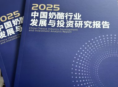 2025中国奶酪行业发展与投资研究报告