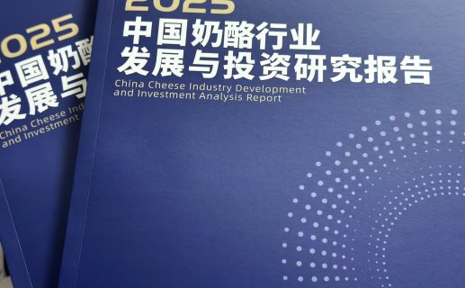 2025中国奶酪行业发展与投资研究报告